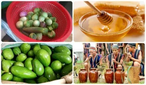 Đăk Lăk Có Đặc Sản Gì? 15 Đặc Sản Đăk Lăk Nên Thử Và Mua Làm Quà
