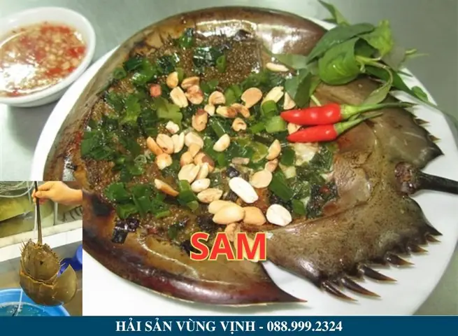 Sam Trà Cổ Sam Trà Cổ