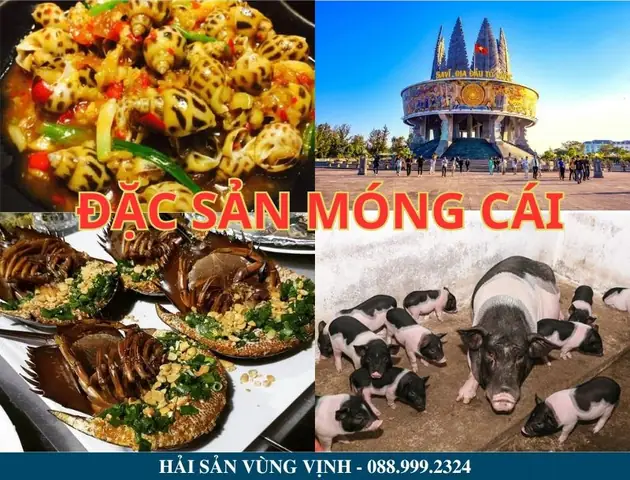 Top 15 Đặc Sản Móng Cái: Tinh Hoa Ẩm Thực Nơi Địa Đầu Tổ Quốc Top 15 Đặc Sản Móng Cái: Tinh Hoa Ẩm Thực Nơi Địa Đầu Tổ Quốc
