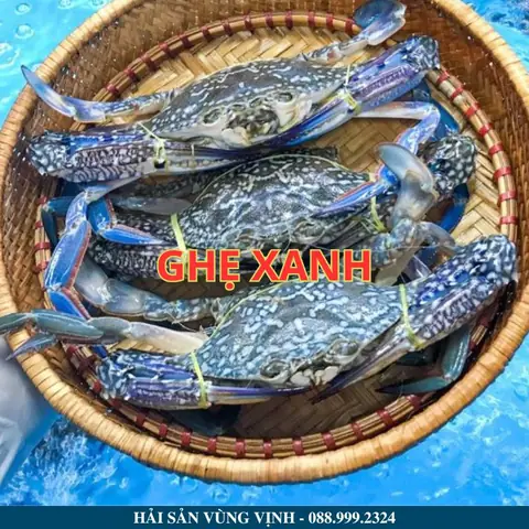 Ghẹ Trà Cổ Ghẹ Trà Cổ