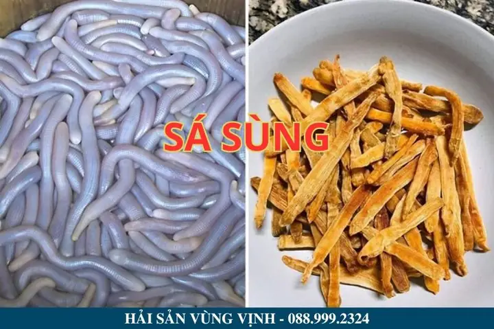 Sá Sùng Sá Sùng