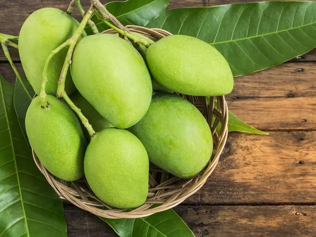 Xoài Thanh Ca Xoài Thanh Ca