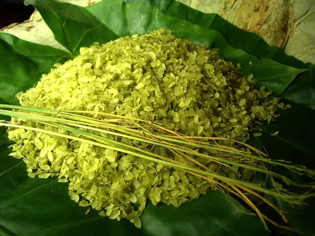 Món Cốm Vòng Nổi Tiếng