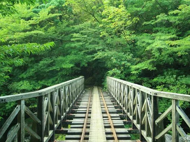 Yakushima – Danh Lam Thắng Cảnh Nhật Bản Yakushima – Danh Lam Thắng Cảnh Nhật Bản