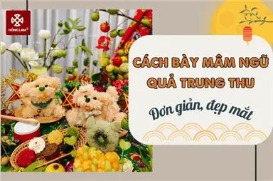 Cách Bày Mâm Ngũ Quả Trung Thu Đơn Giản, Đẹp Mắt