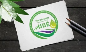 Thực Trạng Bán Tinh Dầu Giả Trên Thị Trường Hiện Nay