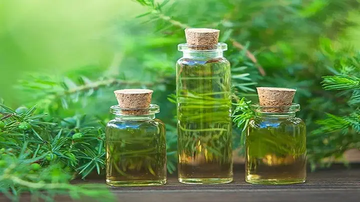 Tinh Dầu Tràm Có Màu Gì Mới Là Chuẩn?