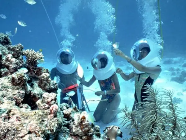 Lộ Trình Seawalker Vip
