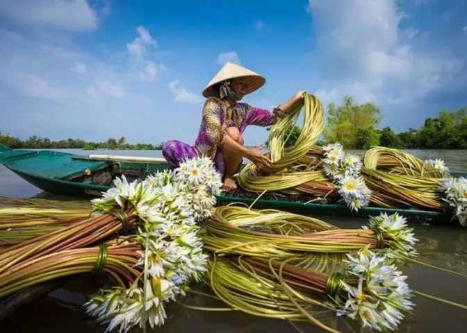 Du Lịch Cà Mau Mùa Nào Đẹp Nhất? Thời Điểm Lý Tưởng Đi Du Lịch Cà ...