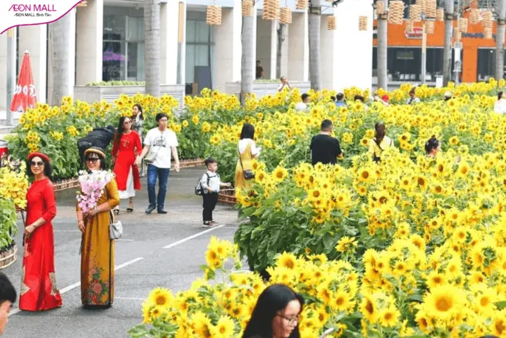 16. Cầu Ánh Sao 16. Cầu Ánh Sao