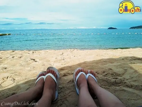 Hướng Dẫn Đi Cù Lao Chàm Tự Túc : Ăn Gì ? Ở Đâu ? Đi Thế Nào ? Hướng Dẫn Đi Cù Lao Chàm Tự Túc : Ăn Gì ? Ở Đâu ? Đi Thế Nào ?