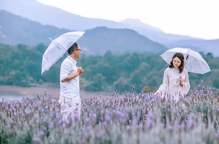 Du Lịch Đà Lạt Tháng 7/2025 - Có Gì Đẹp Và Những Lưu Ý Về Thời Tiết
