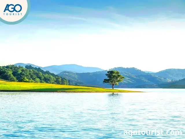 Cây Thông Cô Đơn Đà Lạt - Hướng Dẫn Đường Đi Chi Tiết Cây Thông Cô Đơn Đà Lạt - Hướng Dẫn Đường Đi Chi Tiết