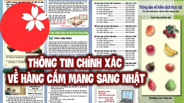 Những Đồ Cấm Mang Sang Nhật Cần Biết Để Tránh Rắc Rối