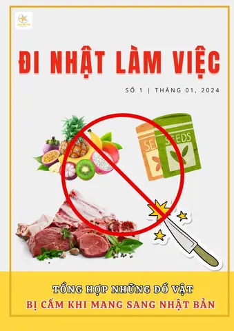 Những Món Đồ Cấm Mang Sang Khi Đi Xklđ Nhật Bản Năm 2024 ...