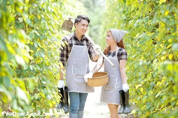 Muối Tiêu Phú Quốc