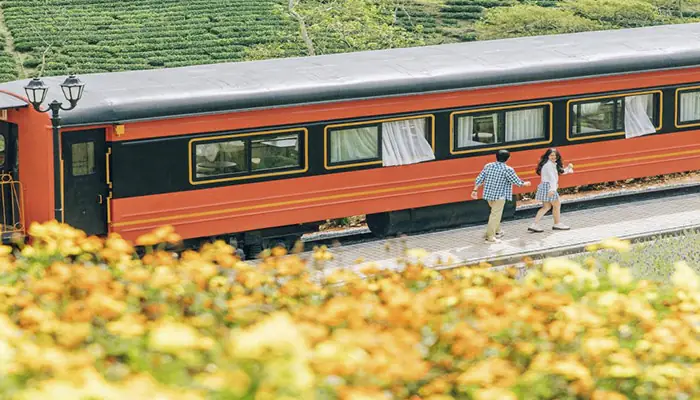 Đi Đà Lạt Bằng Tàu Hỏa Như Thế Nào? Chi Phí Bao Nhiêu?