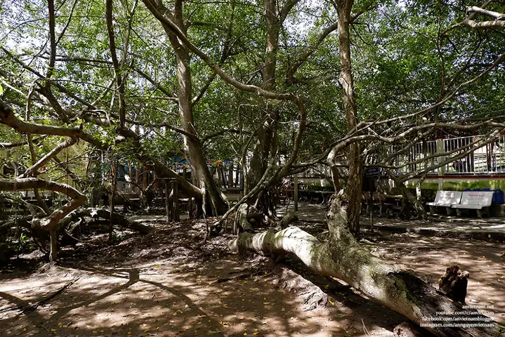 Tích Lịch Sử Ở Cần Thơ Tích Lịch Sử Ở Cần Thơ