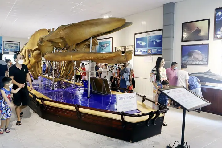 Viện Hải Dương Học Nha Trang Viện Hải Dương Học Nha Trang