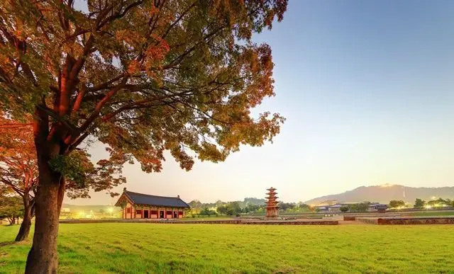 Khám Phá Khu Di Tích Lịch Sử Baekje- Di Sản Thế Giới Hàn Quốc Tại Hà Nội