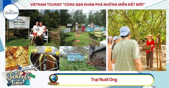 Phú Quốc – Khám Phá Đông Đảo - Tp.hcm (ăn: Sáng + Trưa)