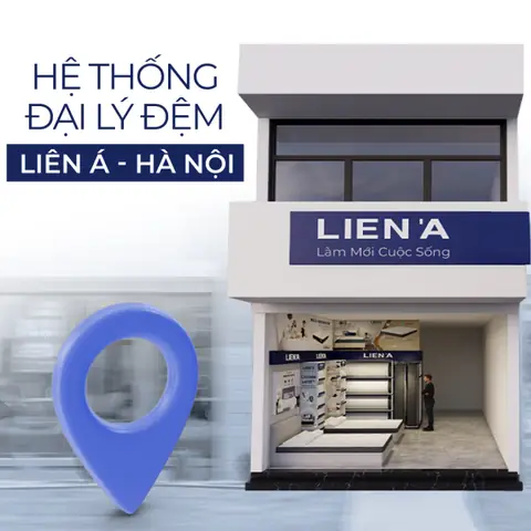 Hệ Thống Cửa Hàng Và Đại Lý Đệm Liên Á Tại Hà Nội Hệ Thống Cửa Hàng Và Đại Lý Đệm Liên Á Tại Hà Nội
