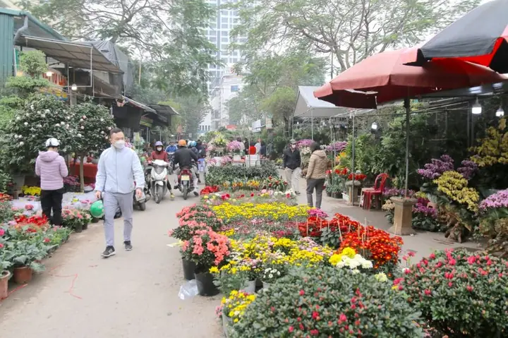 Chợ Hoa Vạn Phúc (chợ Hoa Cây Cảnh, Bán Quanh Năm)