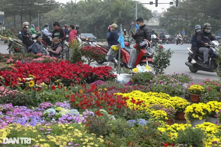 Chợ Hoa Lạc Long Quân (chợ Hoa Tết Theo Mùa Vụ)
