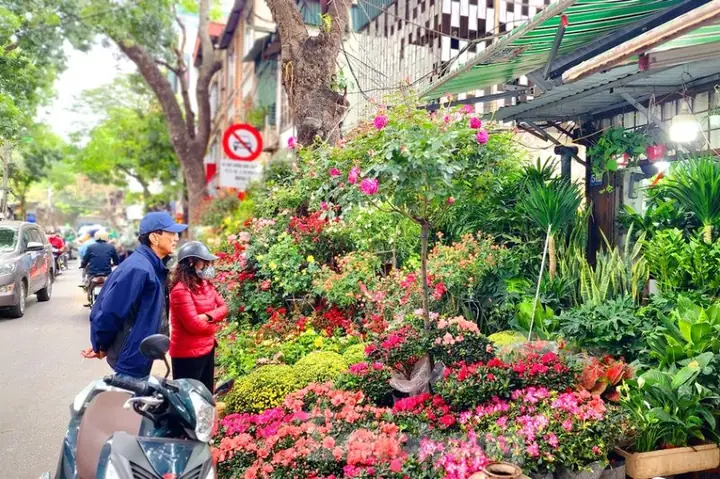 Chợ Hoa Hoàng Hoa Thám (bán Hoa Quanh Năm)