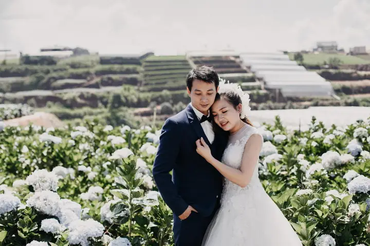 Vườn Hoa Cẩm Tú Cầu Vườn Hoa Cẩm Tú Cầu
