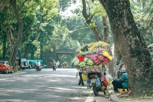 Gợi Ý Lịch Trình 1 Ngày Mùa Thu Hà Nội Trọn Vẹn Nhất