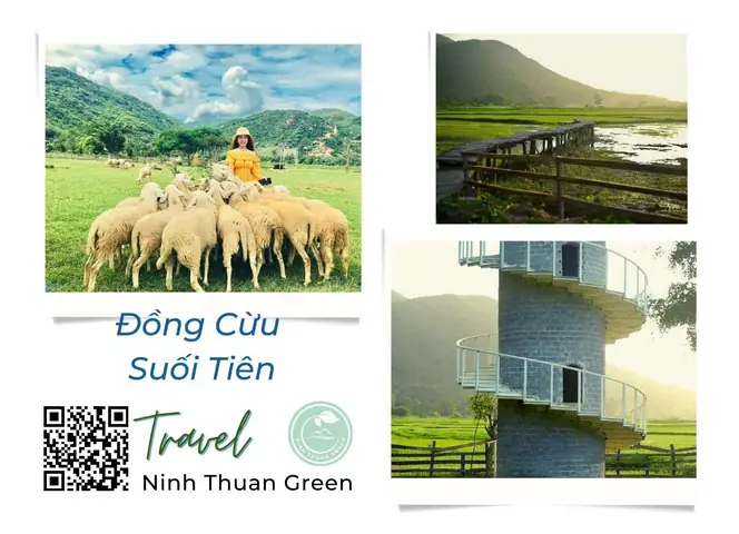 22. Đồng Cừu Suối Tiên 22. Đồng Cừu Suối Tiên