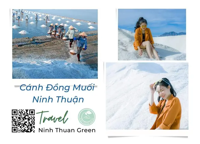 Cánh Đồng Muối Ninh Thuận Cánh Đồng Muối Ninh Thuận