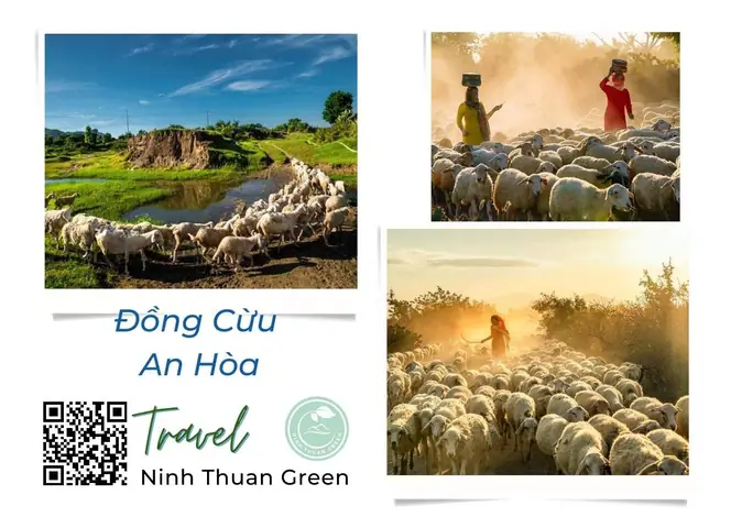16. Đồng Cừu An Hòa 16. Đồng Cừu An Hòa
