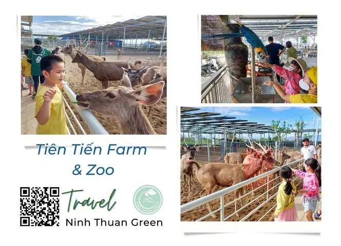 18. Tiên Tiến Farm & Zoo 18. Tiên Tiến Farm & Zoo