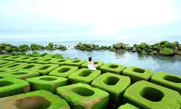 Kè Chắn Sóng Xóm Rớ