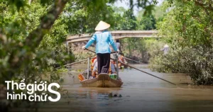 12 Ý Tưởng Du Lịch 1 Ngày Gần Sài Gòn Với Lịch Trình Mới Mẻ ...