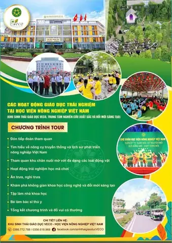 Khu Sinh Thái Giáo Dục Veco - Điểm Đến Lý Tưởng Cho Hoạt Động ...