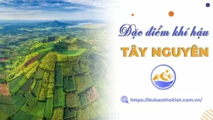 Khí Hậu Tây Nguyên Có Đặc Điểm Gì? Tây Nguyên Có Mấy Mùa? Đặc ...