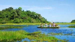 Diện Tích Vườn Quốc Gia Cát Tiên Là Bao Nhiêu?