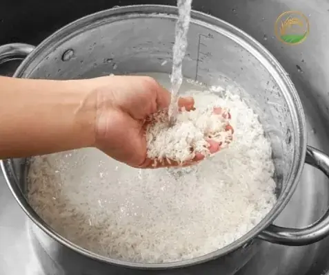 Cách Chọn Gạo Nếp Ngon Để Món Ăn Hoàn Hảo