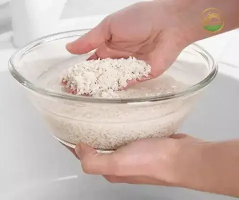 Tại Sao Phải Ngâm Gạo Nếp Trước Khi Nấu?