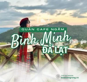 Bật Mí 10 Quán Cafe Ngắm Bình Minh Đà Lạt Được Yêu Thích Nhất