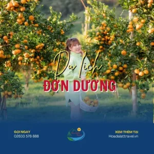 Du Lịch Đơn Dương Có Gì Thú Vị? 12 Điểm Check In Ở Đơn Dương
