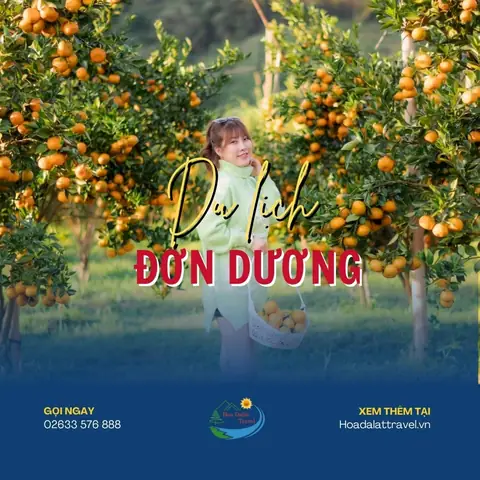 Du Lịch Đơn Dương Có Gì Thú Vị? 12 Điểm Check In Ở Đơn Dương