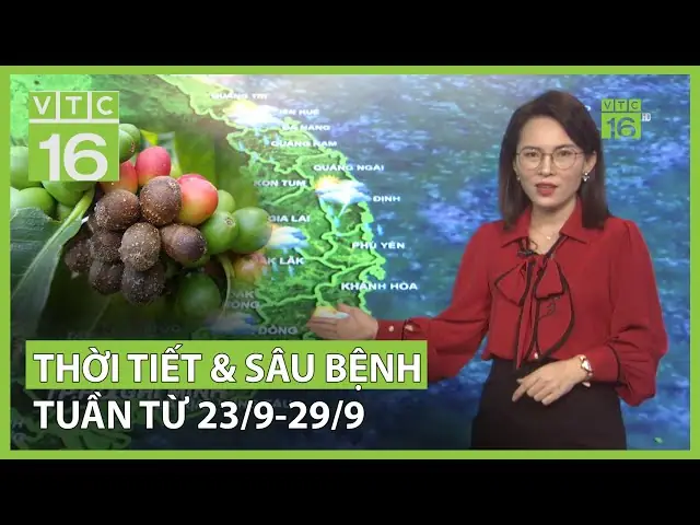 Dự Báo Thời Tiết Huế Tuần Sau: Cập Nhật Chi Tiết Từng Ngày