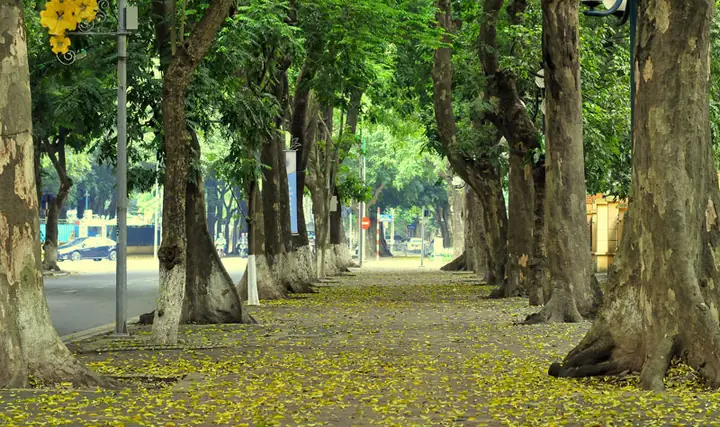 Thời Điểm Lý Tưởng Để Du Lịch Hà Nội Thời Điểm Lý Tưởng Để Du Lịch Hà Nội