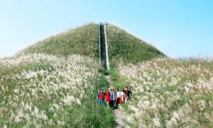 Khái Quát Thông Tin Về Bình Liêu
