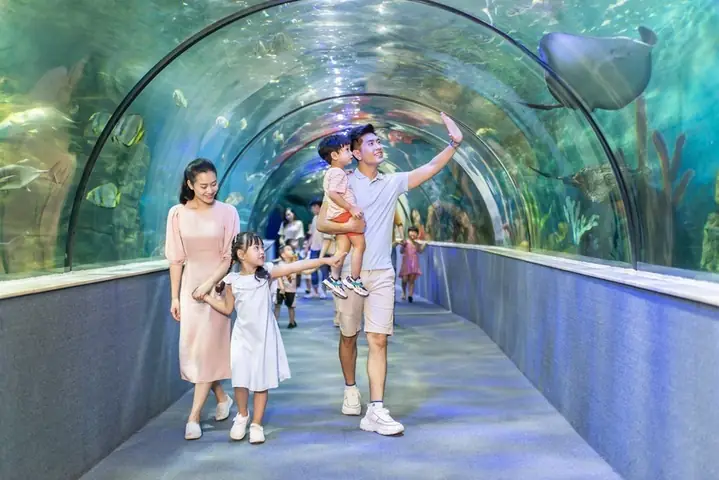 Du Lịch Hà Nội Tháng 12, Khám Phá Điều Thú Vị Của Mùa Đông Thủ Đô Du Lịch Hà Nội Tháng 12, Khám Phá Điều Thú Vị Của Mùa Đông Thủ Đô