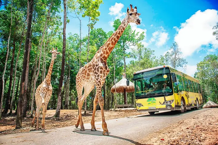 [vinpearl Safari Phú Quốc] - Vé Vào Cửa Tiêu Chuẩn + Tặng Voucher Ẩm Thực Wonder Ngon